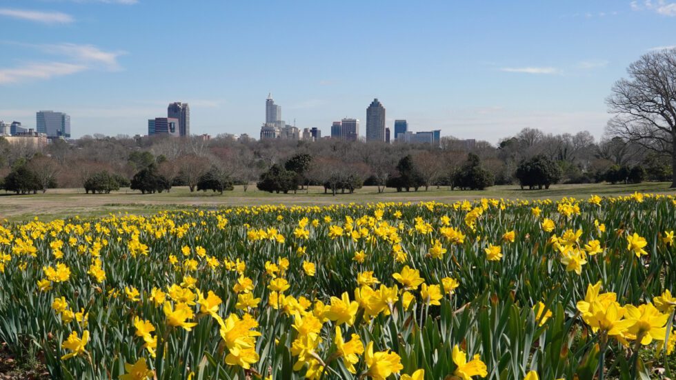 Dix_Park